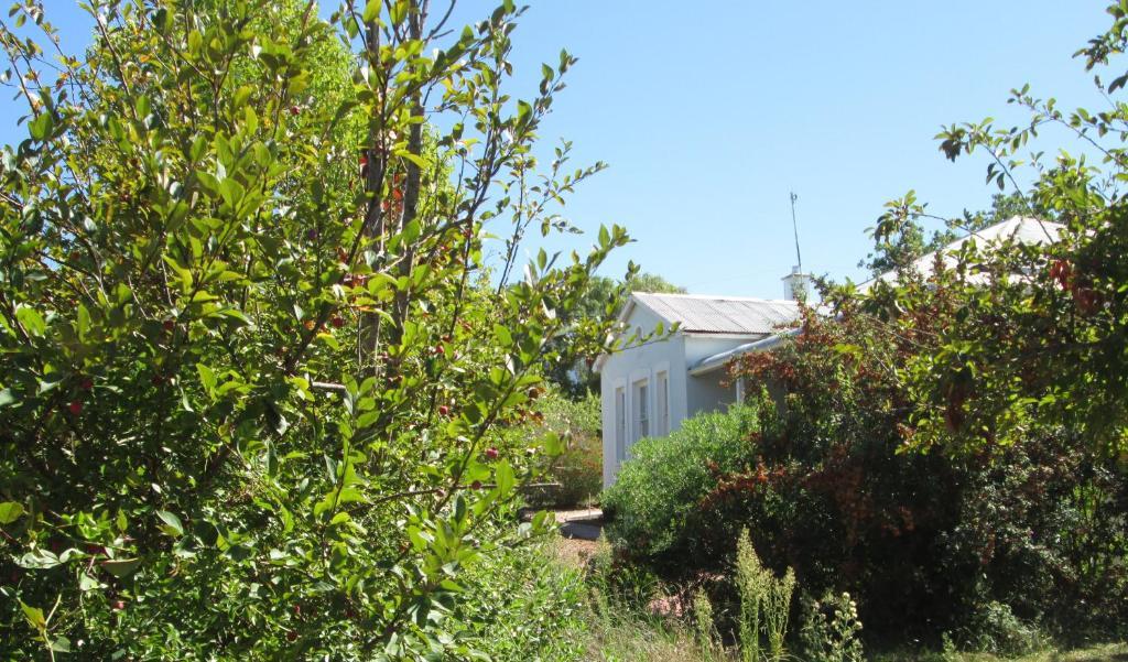 Impangele pensión Swellendam Habitación foto