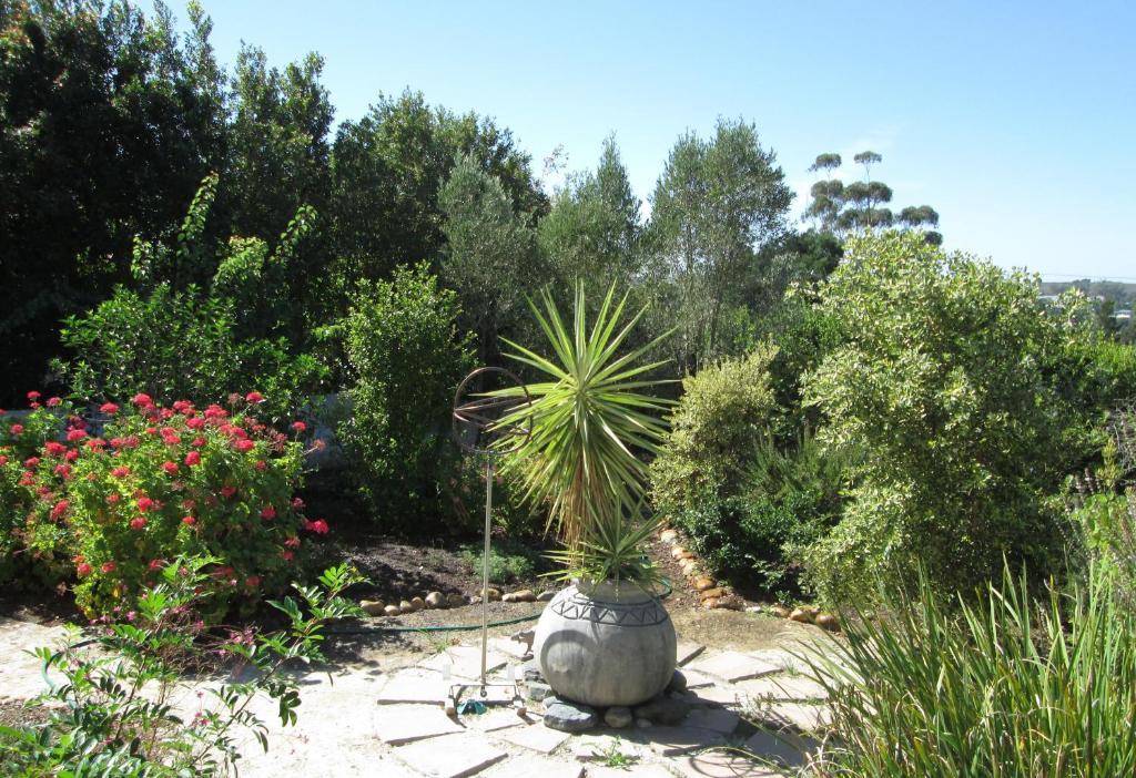 Impangele pensión Swellendam Exterior foto